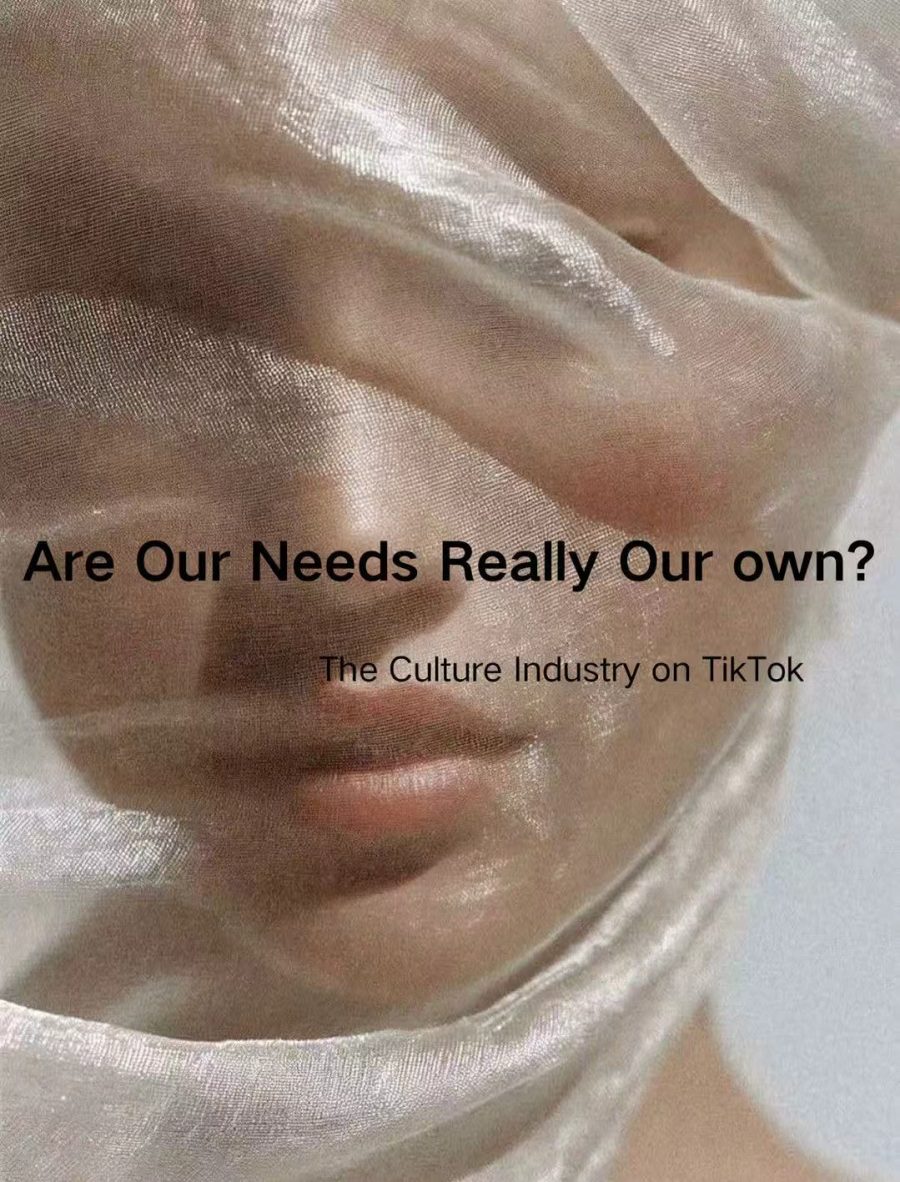 Are our needs really our own? The culture industry on TikTok